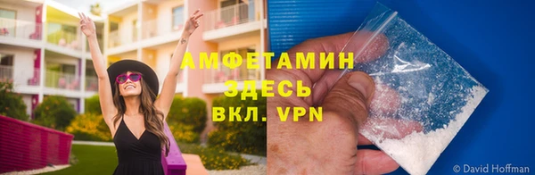 ALPHA PVP Рославль