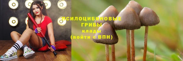 ALPHA PVP Рославль