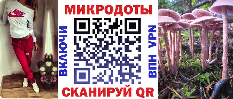 Галлюциногенные грибы Psilocybe  Чёрмоз 